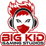Big Kid Gaming Studio